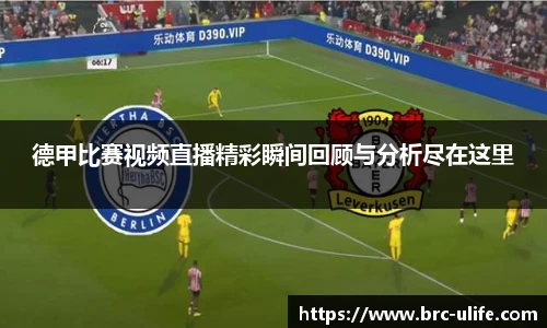 江南·综合体育