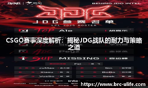 CSGO赛事深度解析：揭秘JDG战队的耐力与策略之道