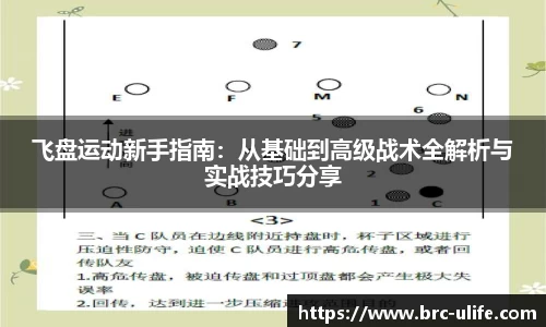 飞盘运动新手指南：从基础到高级战术全解析与实战技巧分享