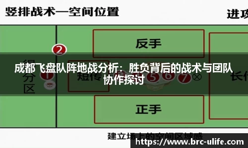 JN体育官网