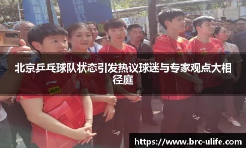 江南·综合体育