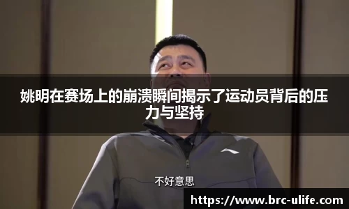 姚明在赛场上的崩溃瞬间揭示了运动员背后的压力与坚持