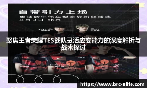 聚焦王者荣耀TES战队灵活应变能力的深度解析与战术探讨