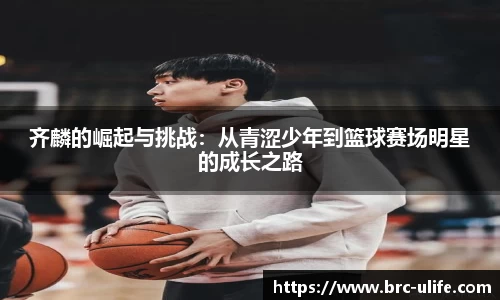 JN体育官网