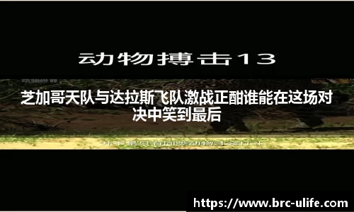 芝加哥天队与达拉斯飞队激战正酣谁能在这场对决中笑到最后