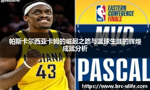 JN体育官网