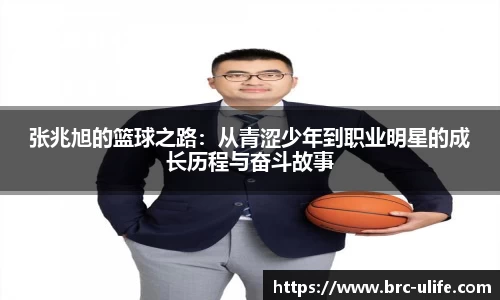 江南JNSport体育