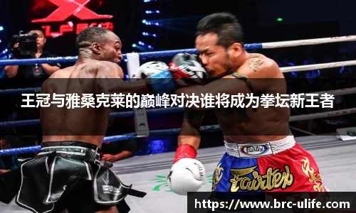 江南JNSport体育