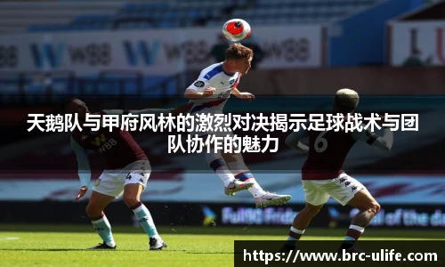 JN体育官网